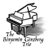 The Binyomin Ginzberg Trio logo